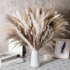 Bouquet de pampas séchés