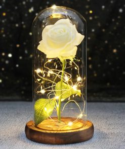 Rose éternelle sous dôme de verre – Image 3