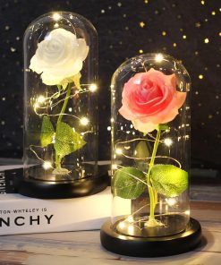 Rose éternelle sous dôme de verre