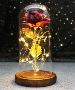Rose éternelle sous dôme de verre – Image 2