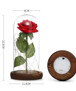 Rose éternelle sous dôme de verre – Image 5